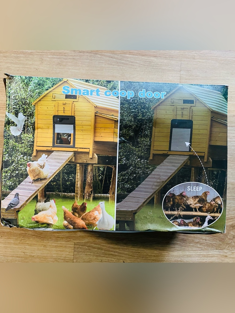 Smart coop door